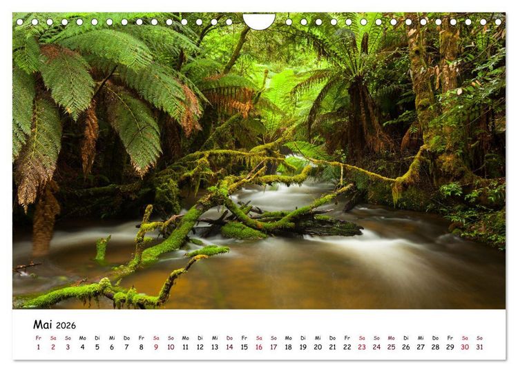 Produktbild: Australiens Sch&ouml;nheit (Wandkalender 2026 DIN A4 quer), CALVENDO Monatskalender