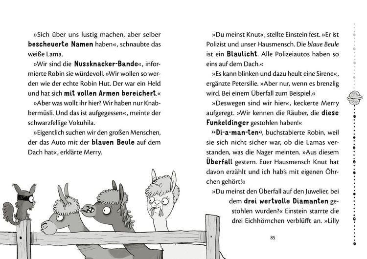 Produktbild: Nussknacker-Bande 1: Drei Chaoten auf vier Pfoten