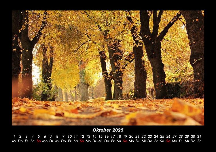 Produktbild: B&auml;ume 2025 Fotokalender DIN A3