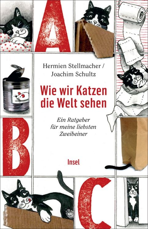 Produktbild: Wie wir Katzen die Welt sehen