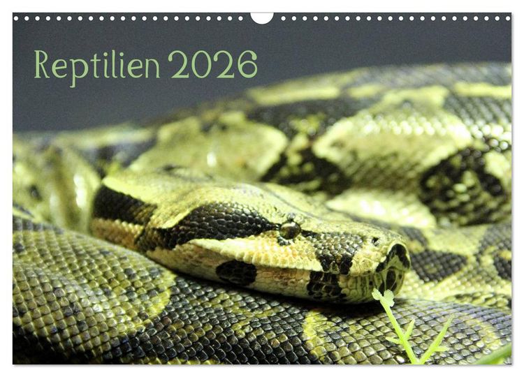 Produktbild: Reptilien 2026 (Wandkalender 2026 DIN A3 quer), CALVENDO Monatskalender