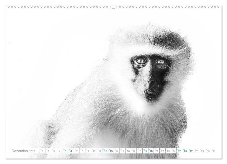 Produktbild: AFRIKA - Schwarz-weiss Fotografien im modernen "High Key" Look (Wandkalender 2026 DIN A2 quer), CALVENDO Monatskalender