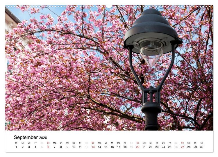 Produktbild: Bonn - Kirschbl&uuml;tenfest in der Altstadt (hochwertiger Premium Wandkalender 2026 DIN A2 quer), Kunstdruck in Hochglanz