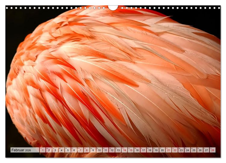 Produktbild: Flamingo Zauber (Wandkalender 2026 DIN A3 quer), CALVENDO Monatskalender