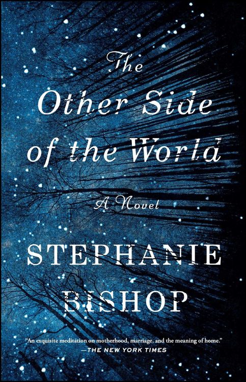 Produktbild: The Other Side of the World