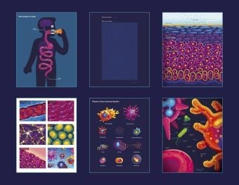 Produktbild: Immune