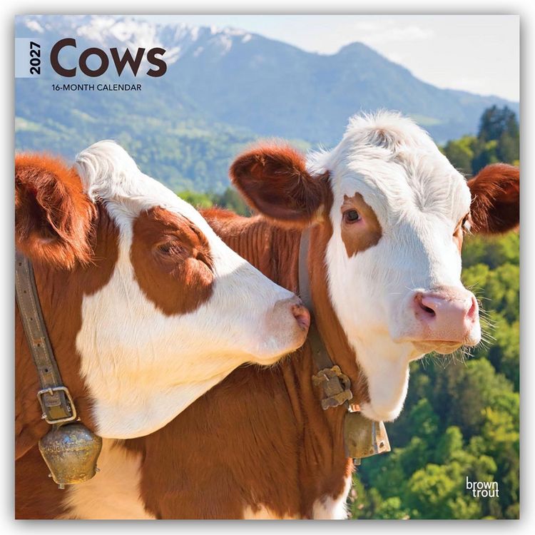 Produktbild: Cows &ndash; K&uuml;he 2027 &ndash; 16-Monatskalender