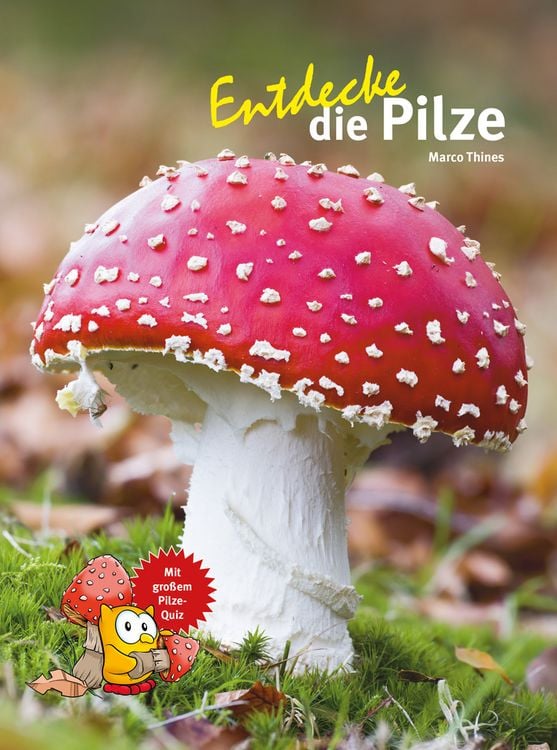 Produktbild: Entdecke die Pilze