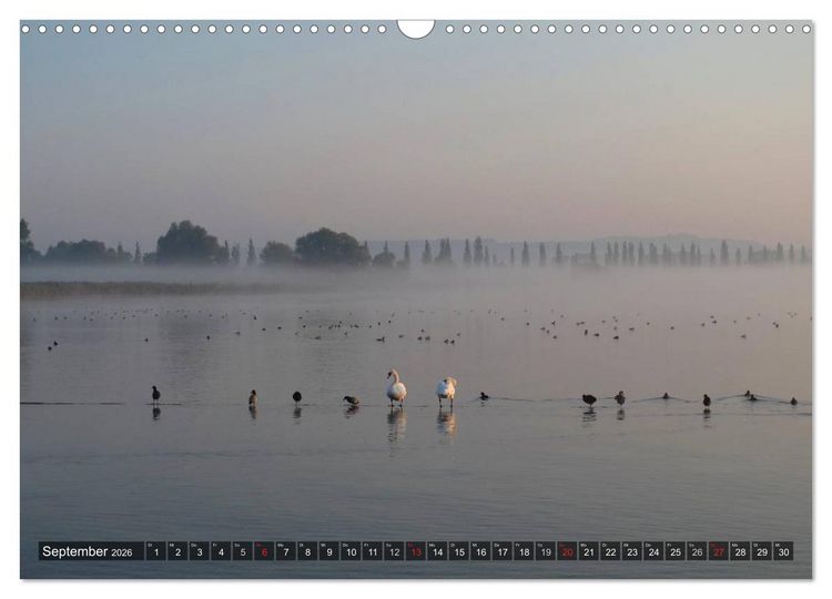 Produktbild: Zauberhafter Bodensee (Wandkalender 2026 DIN A3 quer), CALVENDO Monatskalender