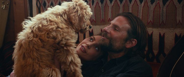 Produktbild: A Star is Born