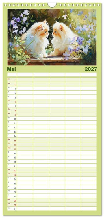 Produktbild: Familienplaner 2027 - Perserkatzen. Flauschige Momente in kunstvoller &Ouml;loptik mit 5 Spalten (Wandkalender, 21 x 45 cm) CALVENDO