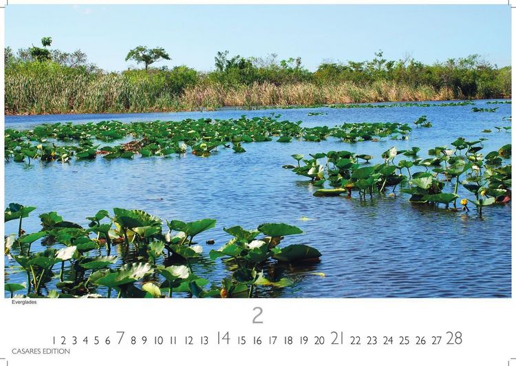 Produktbild: Florida Kalender 2027 &ndash; Wandkalender | Fotokalender Nordamerika 35x50cm Traumhafte Landschaften & K&uuml;stenst&auml;dte voller Lebensfreude, perfekt als Geschenkidee