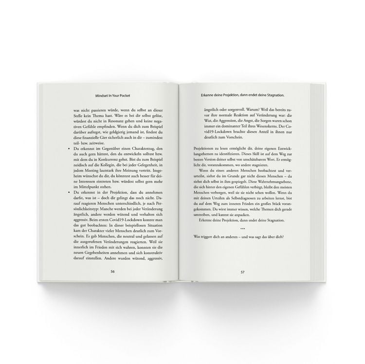 Produktbild: Meistere dein Mindset