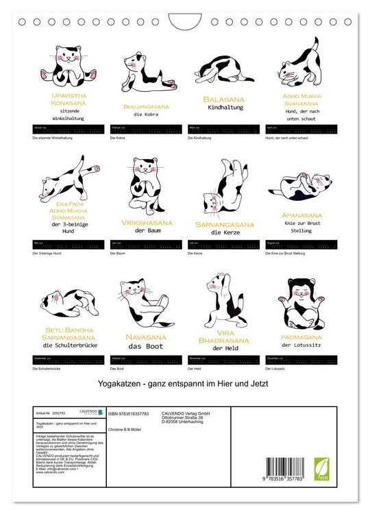 Produktbild: Yogakatzen - ganz entspannt im Hier und Jetzt (Wandkalender 2026 DIN A4 hoch), CALVENDO Monatskalender