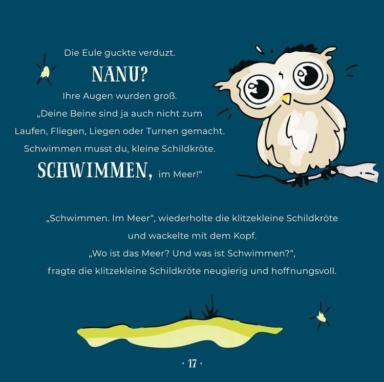 Produktbild: Wohin des Weges kleine Schildkr&ouml;te