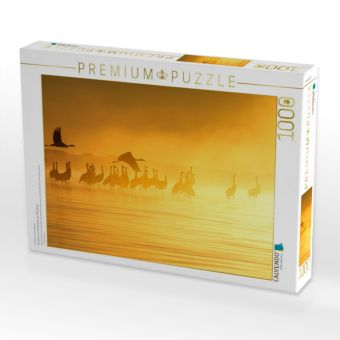 Produktbild: CALVENDO Puzzle Kraniche am Schlafplatz, am M&uuml;ritzufer | 1000 Teile Lege-Gr&ouml;&szlig;e 64 &times; 48 cm Foto-Puzzle f&uuml;r gl&uuml;ckliche Stunden