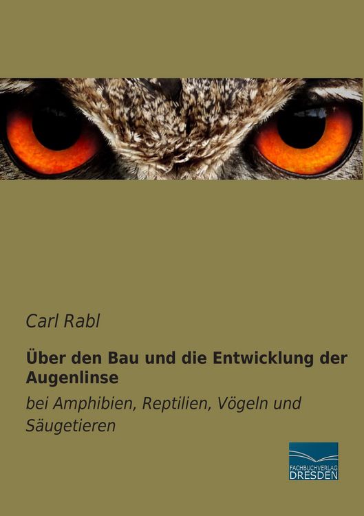 Produktbild: &Uuml;ber den Bau und die Entwicklung der Augenlinse