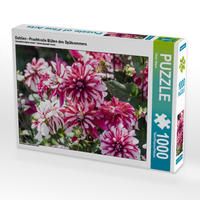 Produktbild: CALVENDO Puzzle Dahlien - Prachtvolle Bl&uuml;ten des Sp&auml;tsommers 1000 Teile Lege-Gr&ouml;&szlig;e 64 x 48 cm Foto-Puzzle Bild von Dieter Meyer