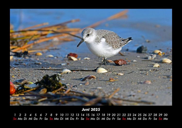 Produktbild: Nordsee 2025 Fotokalender DIN A3