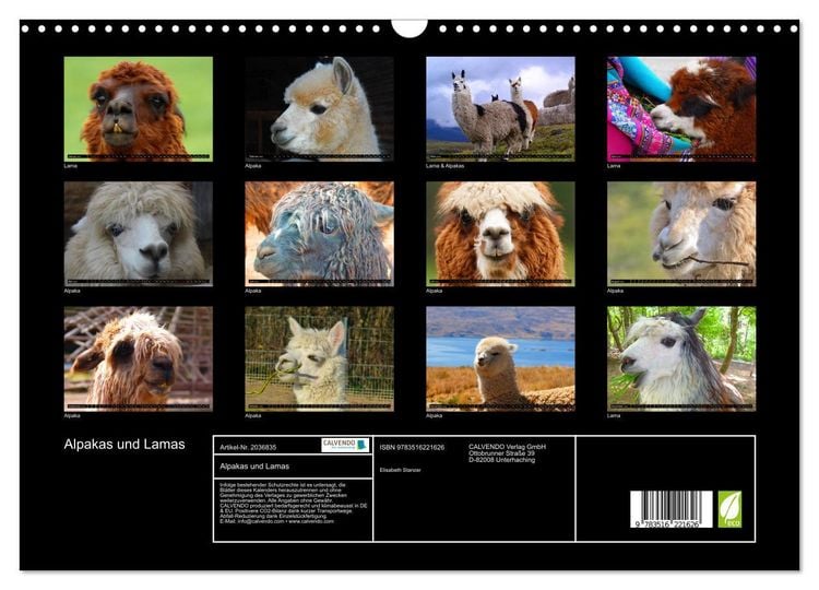 Produktbild: Alpakas und Lamas (Wandkalender 2026 DIN A3 quer), CALVENDO Monatskalender