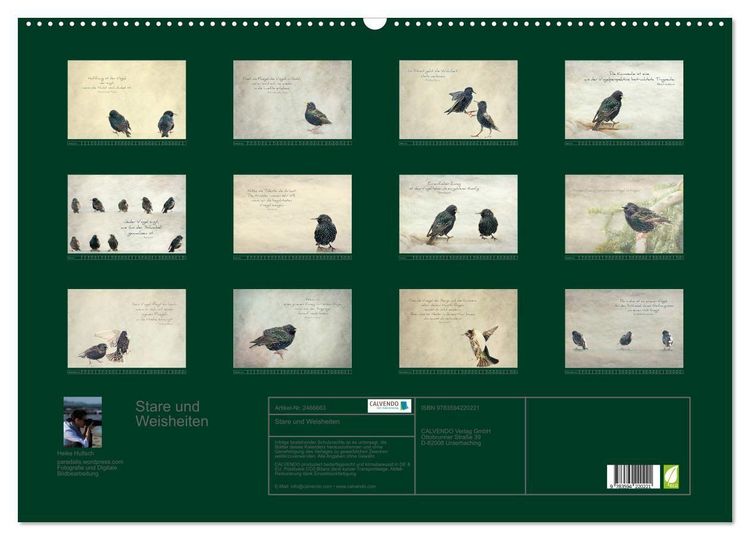 Produktbild: Stare und Weisheiten (Wandkalender 2027 DIN A2 quer), CALVENDO Monatskalender