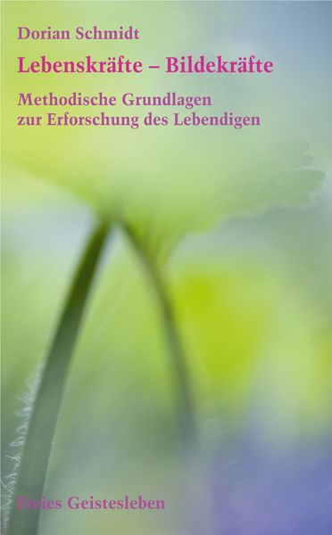 Produktbild: Lebenskr&auml;fte - Bildekr&auml;fte