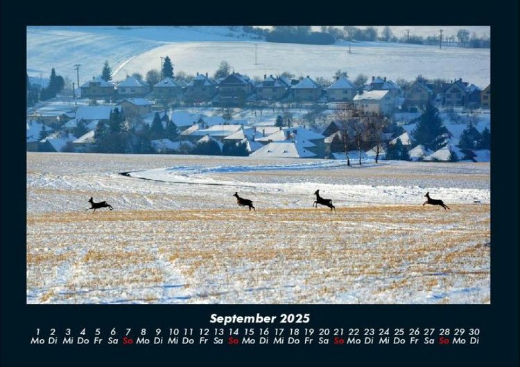 Produktbild: Blick in die Natur 2025 Fotokalender DIN A4