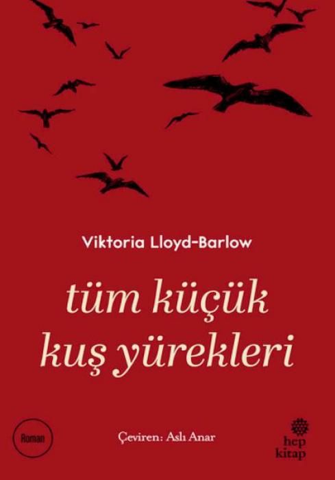 Produktbild: T&uuml;m K&uuml;c&uuml;k Kus Y&uuml;rekleri