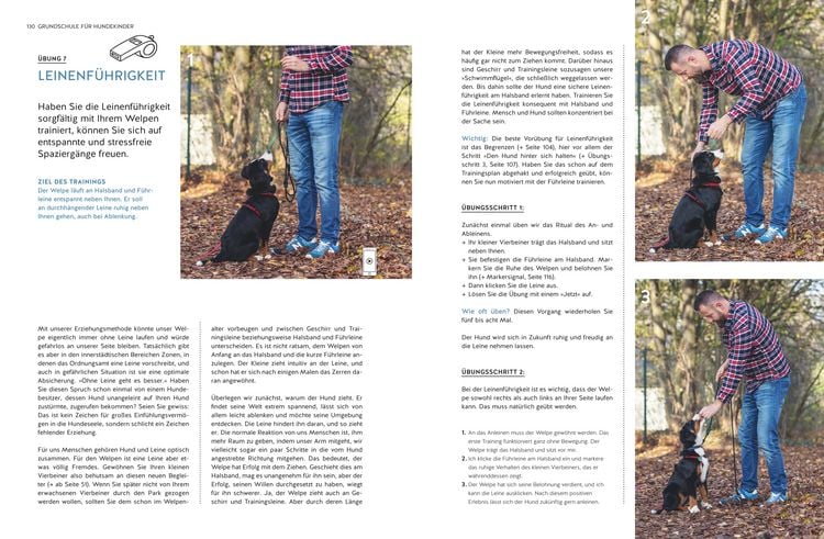 Produktbild: Typgerechtes Welpentraining