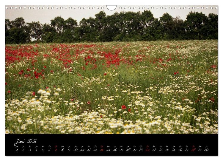 Produktbild: RH&Ouml;N = SCH&Ouml;N (Wandkalender 2026 DIN A3 quer), CALVENDO Monatskalender