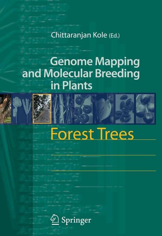 Produktbild: Forest Trees