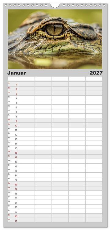 Produktbild: Familienplaner 2027 - Die Augen der Wildnis mit 5 Spalten (Wandkalender, 21 x 45 cm) CALVENDO