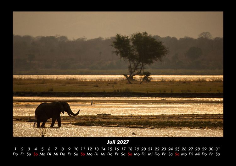 Produktbild: Der Elefantenkalender 2027 Fotokalender DIN A3