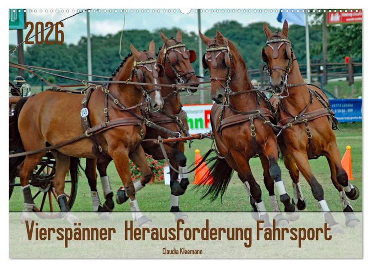 Produktbild: Viersp&auml;nner Herausforderung Fahrsport (Wandkalender 2026 DIN A2 quer), CALVENDO Monatskalender