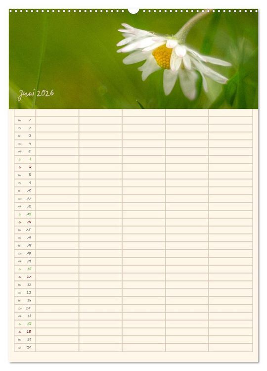 Produktbild: Mit Blick in den Garten (Wandkalender 2026 DIN A2 hoch), CALVENDO Monatskalender