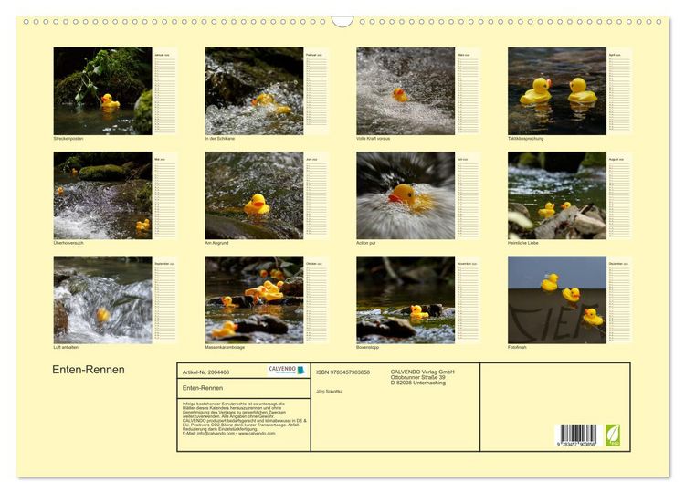 Produktbild: Enten-Rennen (Wandkalender 2026 DIN A2 quer), CALVENDO Monatskalender