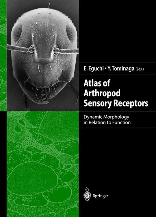 Produktbild: Atlas of Arthropod Sensory Receptors