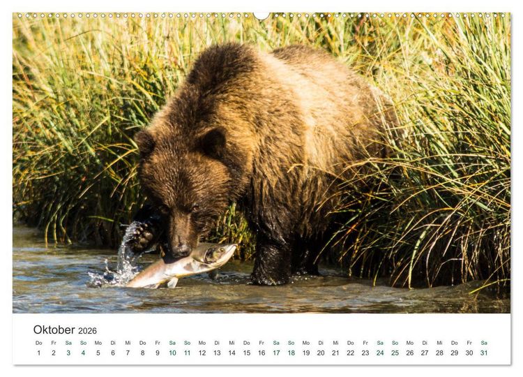 Produktbild: Into the Wild - Kanada und Alaska (Wandkalender 2026 DIN A2 quer), CALVENDO Monatskalender