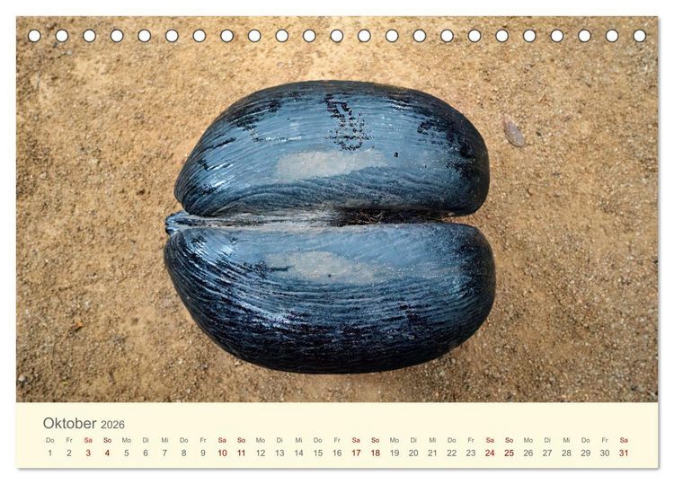 Produktbild: Traumhafte Seychellen (Tischkalender 2026 DIN A5 quer), CALVENDO Monatskalender