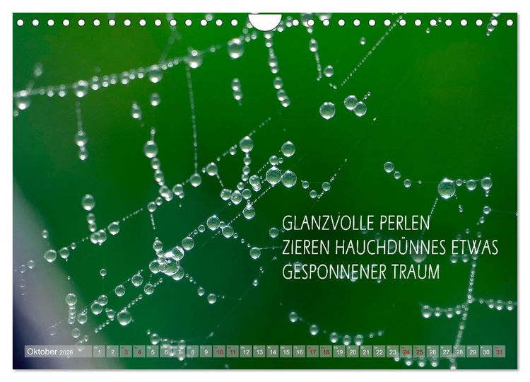 Produktbild: Haiku Poesie in Wort und Bild (Wandkalender 2026 DIN A4 quer), CALVENDO Monatskalender