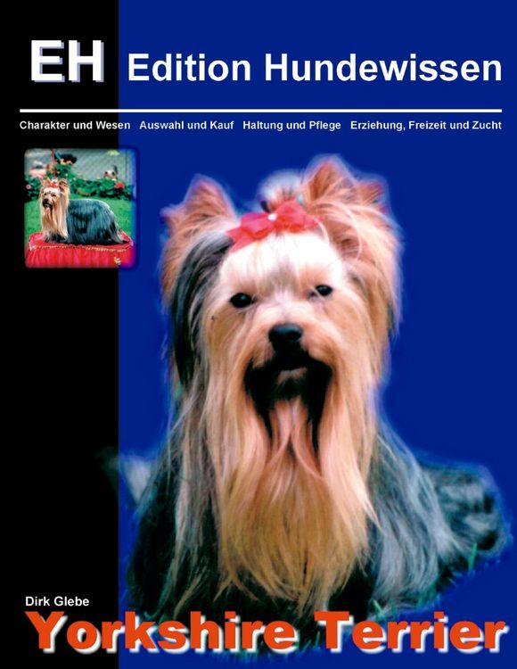 Produktbild: Yorkshire Terrier
