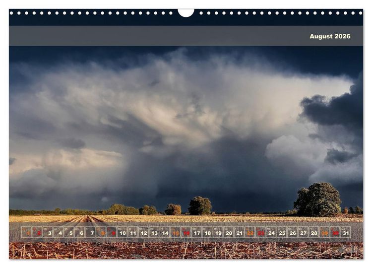 Produktbild: Licht im Land (Wandkalender 2026 DIN A3 quer), CALVENDO Monatskalender