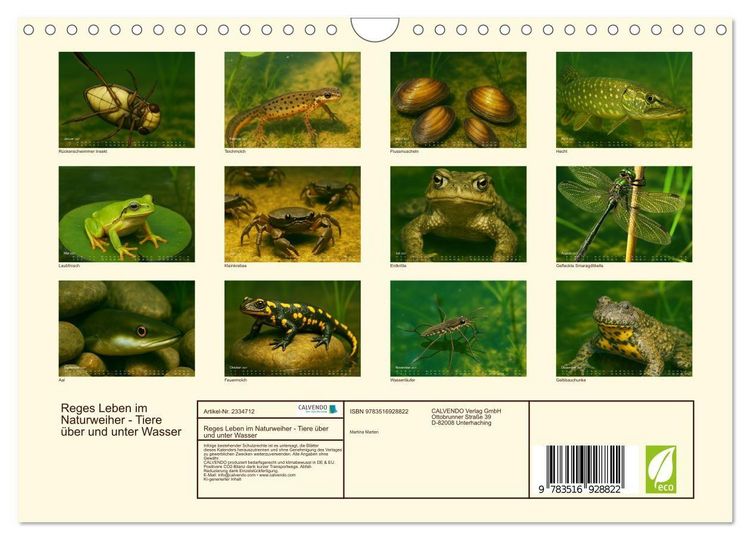 Produktbild: Reges Leben im Naturweiher - Tiere &uuml;ber und unter Wasser (Wandkalender 2027 DIN A4 quer), CALVENDO Monatskalender