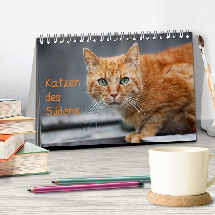 Produktbild: Katzen des S&uuml;dens (Tischkalender 2026 DIN A5 quer), CALVENDO Monatskalender