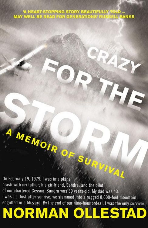 Produktbild: Crazy for the Storm