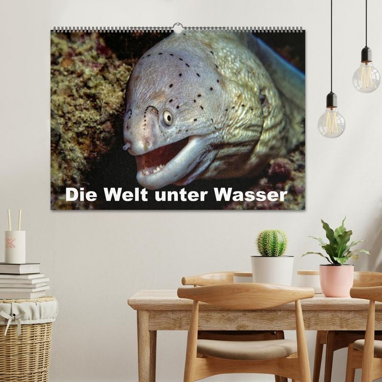 Produktbild: Die Welt unter Wasser (Wandkalender 2026 DIN A2 quer), CALVENDO Monatskalender