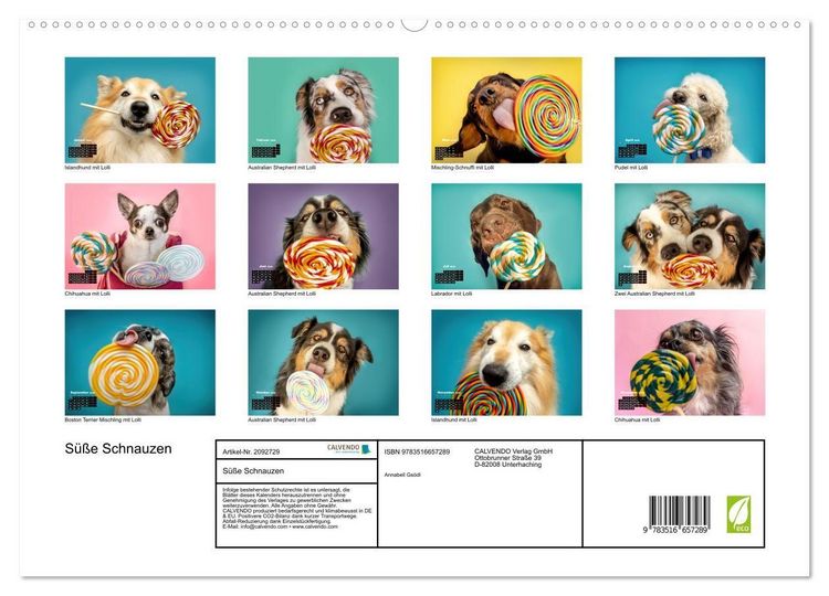 Produktbild: S&uuml;&szlig;e Schnauzen (hochwertiger Premium Wandkalender 2026 DIN A2 quer), Kunstdruck in Hochglanz