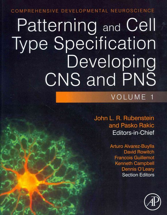 Produktbild: Patterning and Cell Type Specification in the Developing CNS and Pns