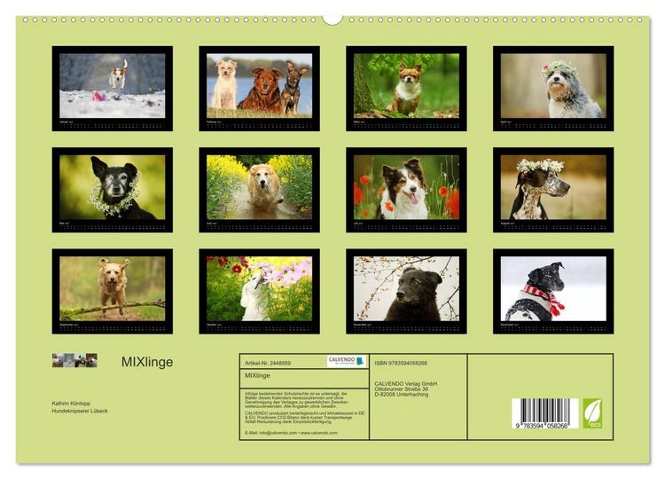 Produktbild: MIXlinge (hochwertiger Premium Wandkalender 2027 DIN A2 quer), Kunstdruck in Hochglanz
