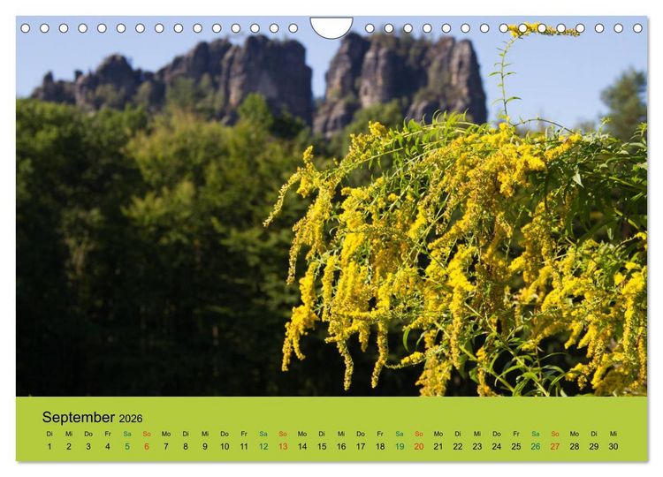Produktbild: Im Elbsandstein - S&auml;chsisch-b&ouml;hmische Schweiz (Wandkalender 2026 DIN A4 quer), CALVENDO Monatskalender